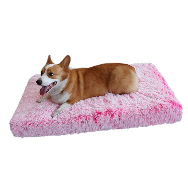 Plush Pup Bed