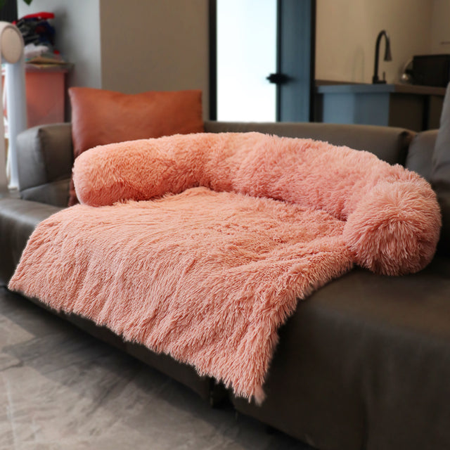 Comfort Sofa