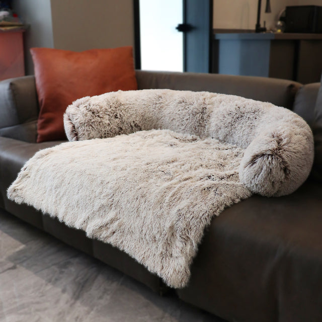 Comfort Sofa