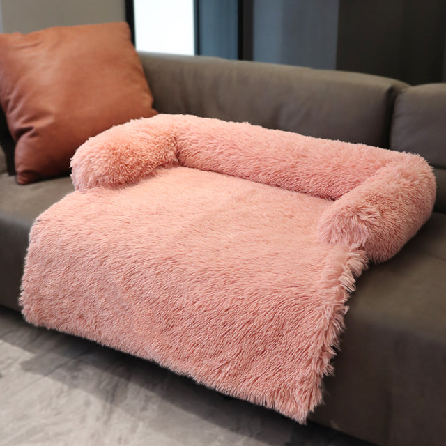 Comfort Sofa