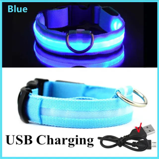 GlowPup LED Collar