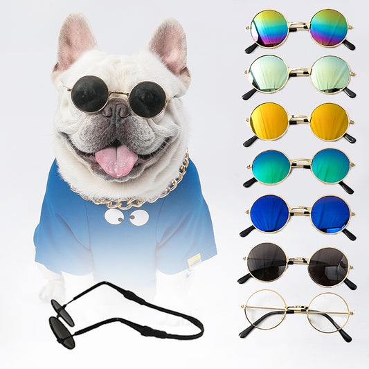 SunPup Sunglasses