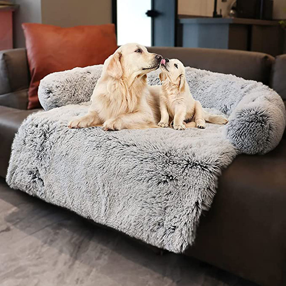 Comfort Sofa