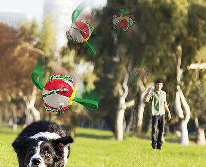 PawGlide Frisbee Ball