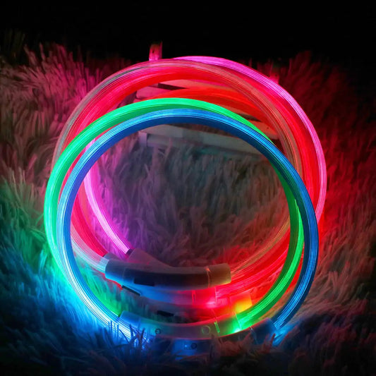 GlowPup Halo Collar