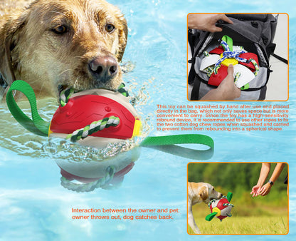 PawGlide Frisbee Ball