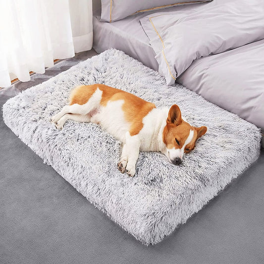 Plush Pup Bed