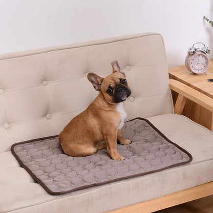 PupComfort Sofa Blanket