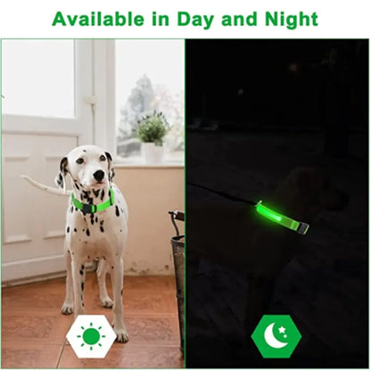 GlowPup LED Collar