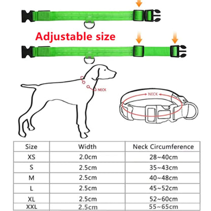 GlowPup LED Collar