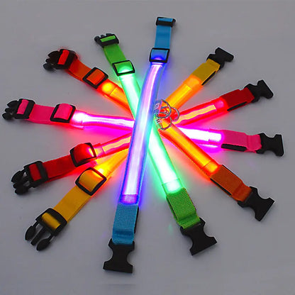 GlowPup LED Collar