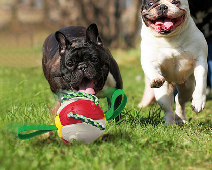 PawGlide Frisbee Ball