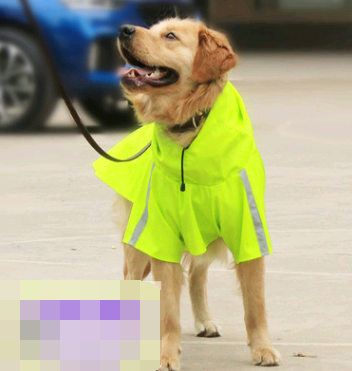 Splash Raincoat