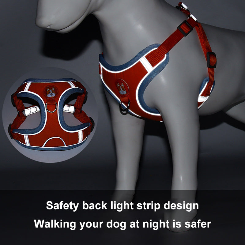 GlowSafe Harness