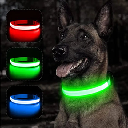 GlowPup LED Collar