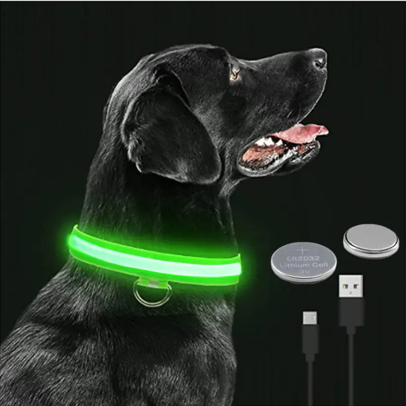 GlowPup LED Collar