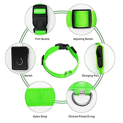 GlowPup LED Collar